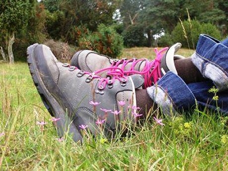 elke dag 10 km wandelen